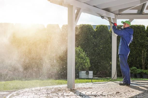 Best Roof Washing  in Little Walnut Village, NM